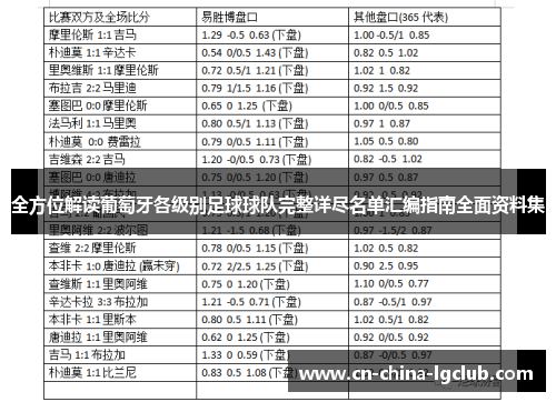 全方位解读葡萄牙各级别足球球队完整详尽名单汇编指南全面资料集