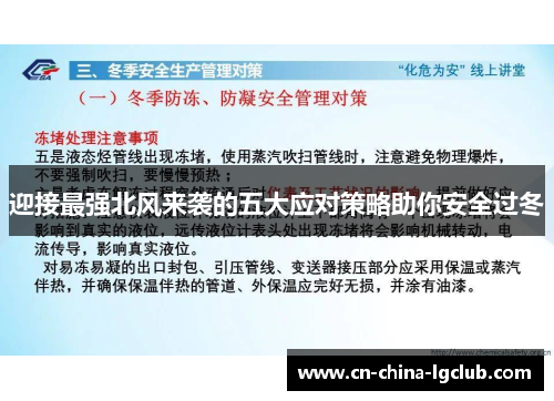 迎接最强北风来袭的五大应对策略助你安全过冬
