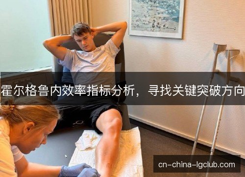 霍尔格鲁内效率指标分析，寻找关键突破方向